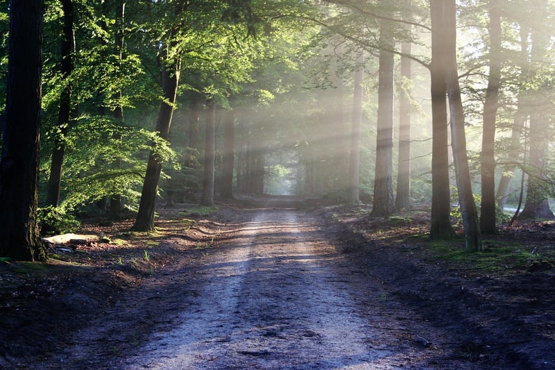 Connecting with nature
